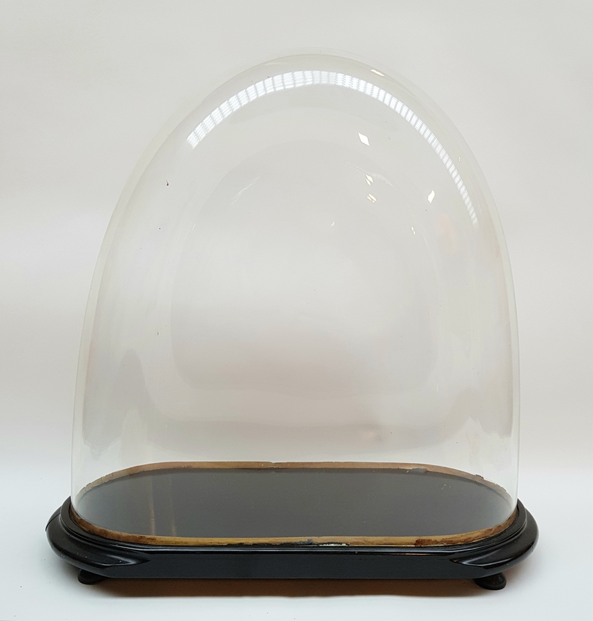Glazen stolp op houten plateau - 23 x 23 x 34 cm Glazen stolp op houten plateau - 23 x 23 x 34 cm
